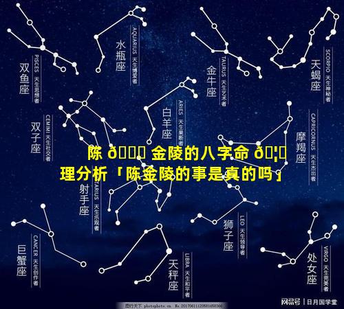 陈 🐅 金陵的八字命 🦉 理分析「陈金陵的事是真的吗」